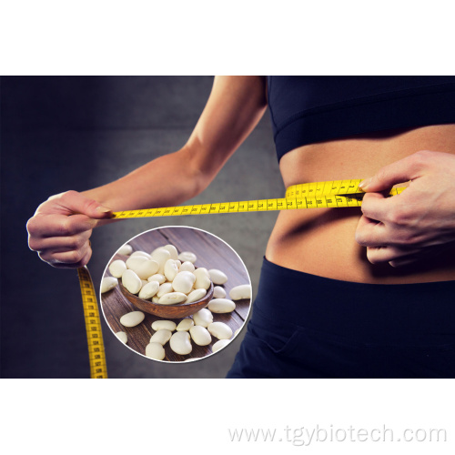 Supply Pure Natural White Kidney Bean Extract Powder